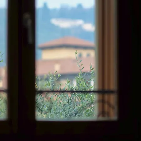Naboo Luxury