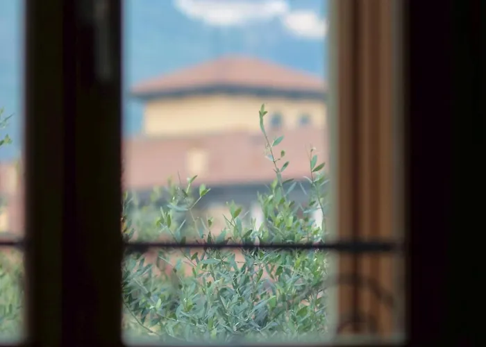 Naboo Luxury